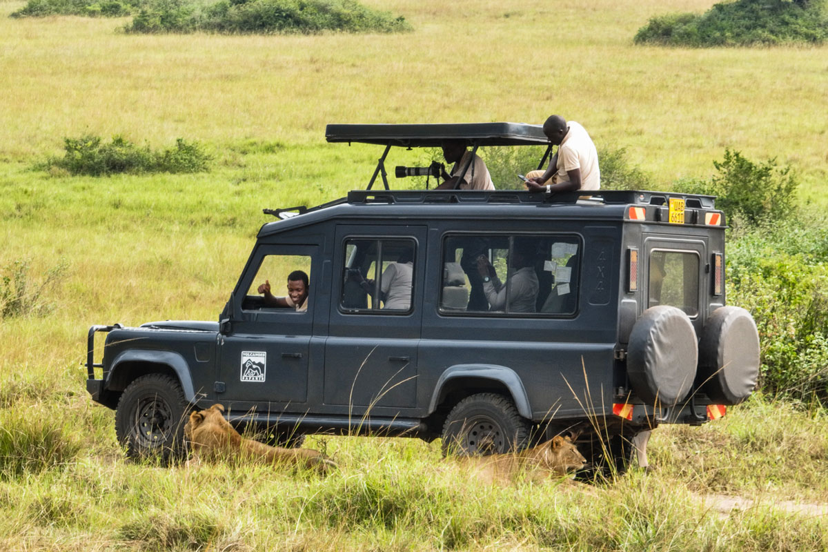 Kyambura Lion Monitoring Project