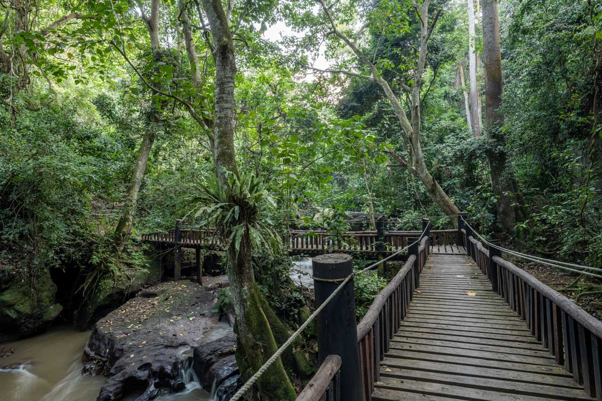 The Kyambura Gorge Eco-tourism Project