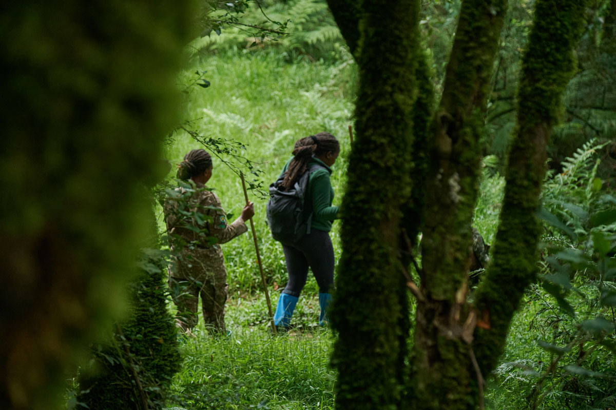 7-night Great Ape Conservation Safari in Uganda