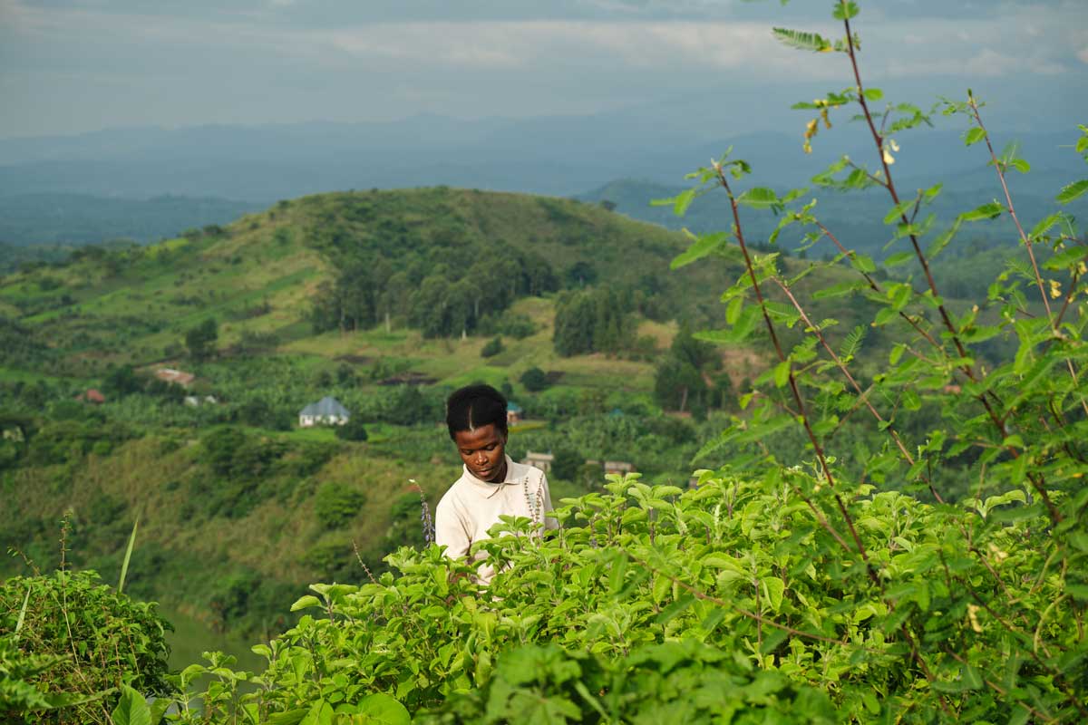 Tree Nursery and Reforestation Project